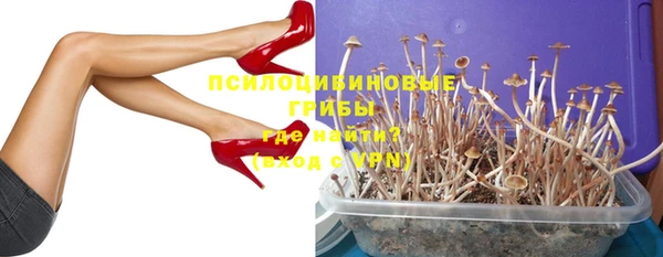 гашик Нея