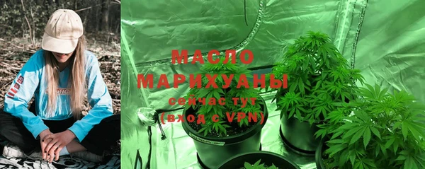 прущие грибы Алзамай