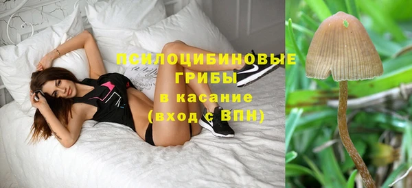 соль курить ск Алексеевка